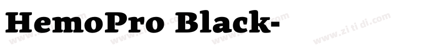 RemoPro Black字体转换